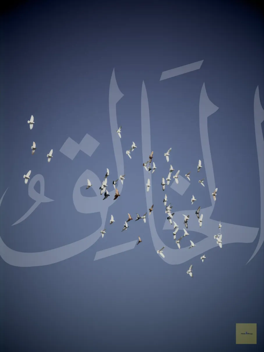 This image describes Al-Khaliq name from 99 names of Allah by Omar Elsayed